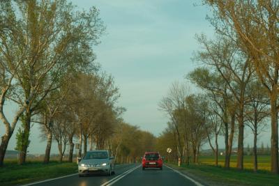 Drogi i wypadki Białystok - Zdjęcie podglądowe artykułu