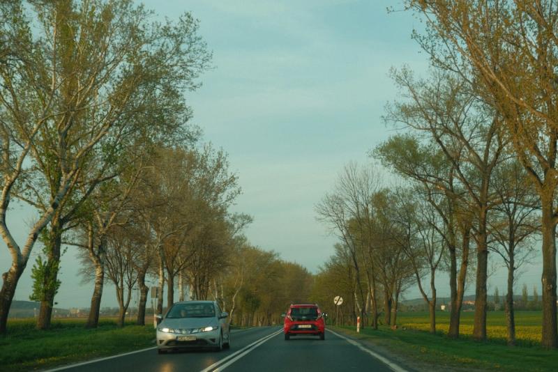 Drogi i wypadki Białystok - Zdjęcie podglądowe artykułu
